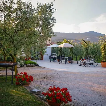 Il Paradiso Bed & Breakfast