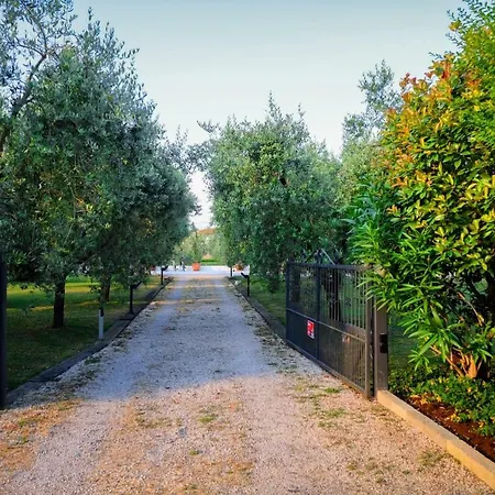 Il Paradiso *